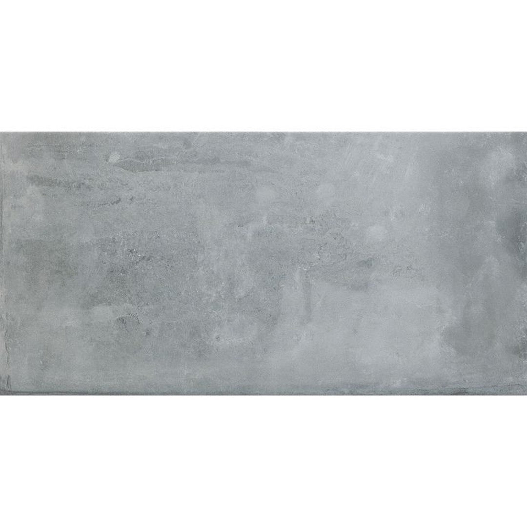 Arizona 24" x 48" Icon Matte Porcelain Tile (9mm)