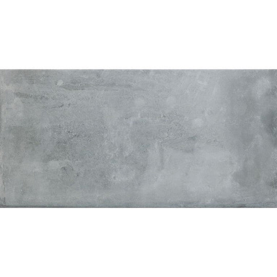 Arizona 24" x 48" Icon Matte Porcelain Tile (9mm)