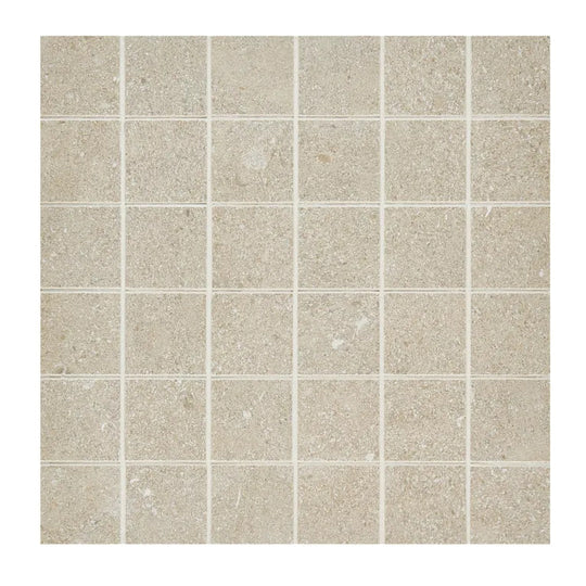 Arizona 12" x 12" Intense Porcelain 2" Mosaic
