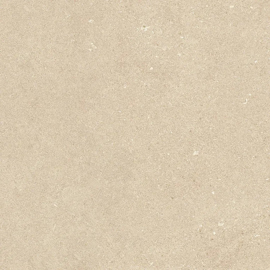 Arizona 24" x 24" Intense Matte Rectified Porcelain Tile