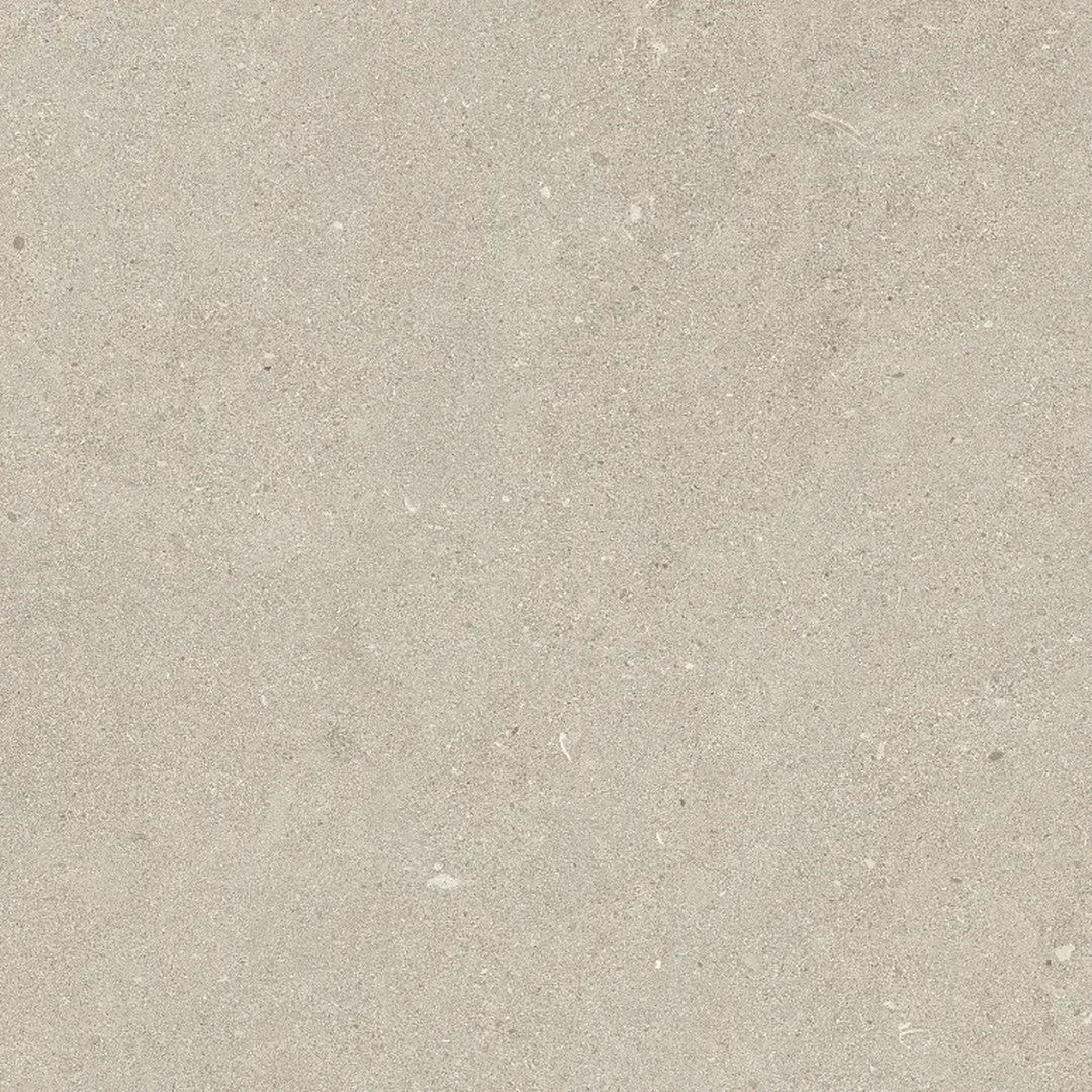 Arizona 24" x 24" Intense Matte Rectified Porcelain Tile