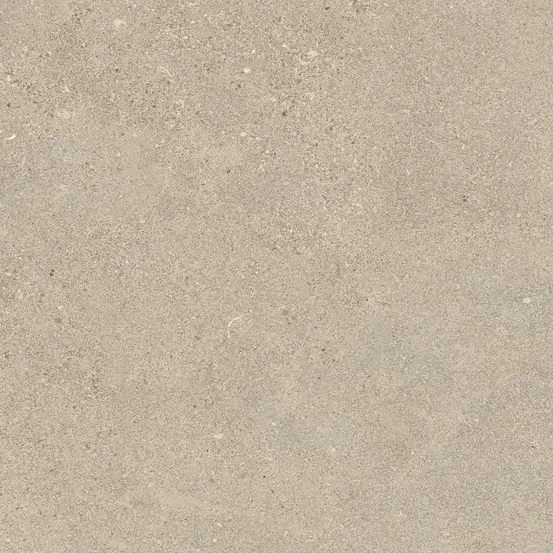 Arizona 24" x 24" Intense Matte Rectified Porcelain Tile