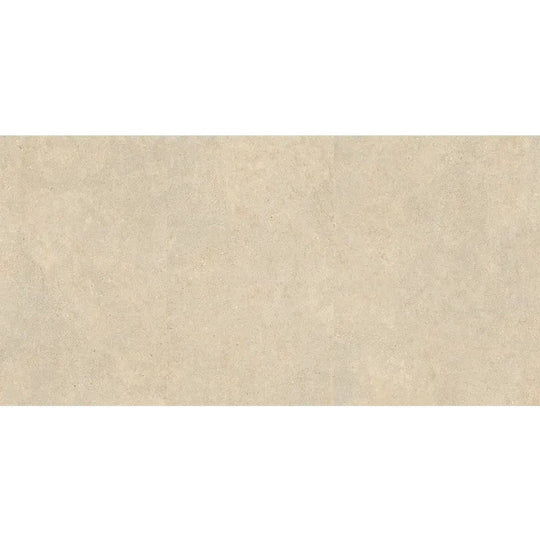 Arizona 24" x 48" Intense Matte Rectified Porcelain Tile