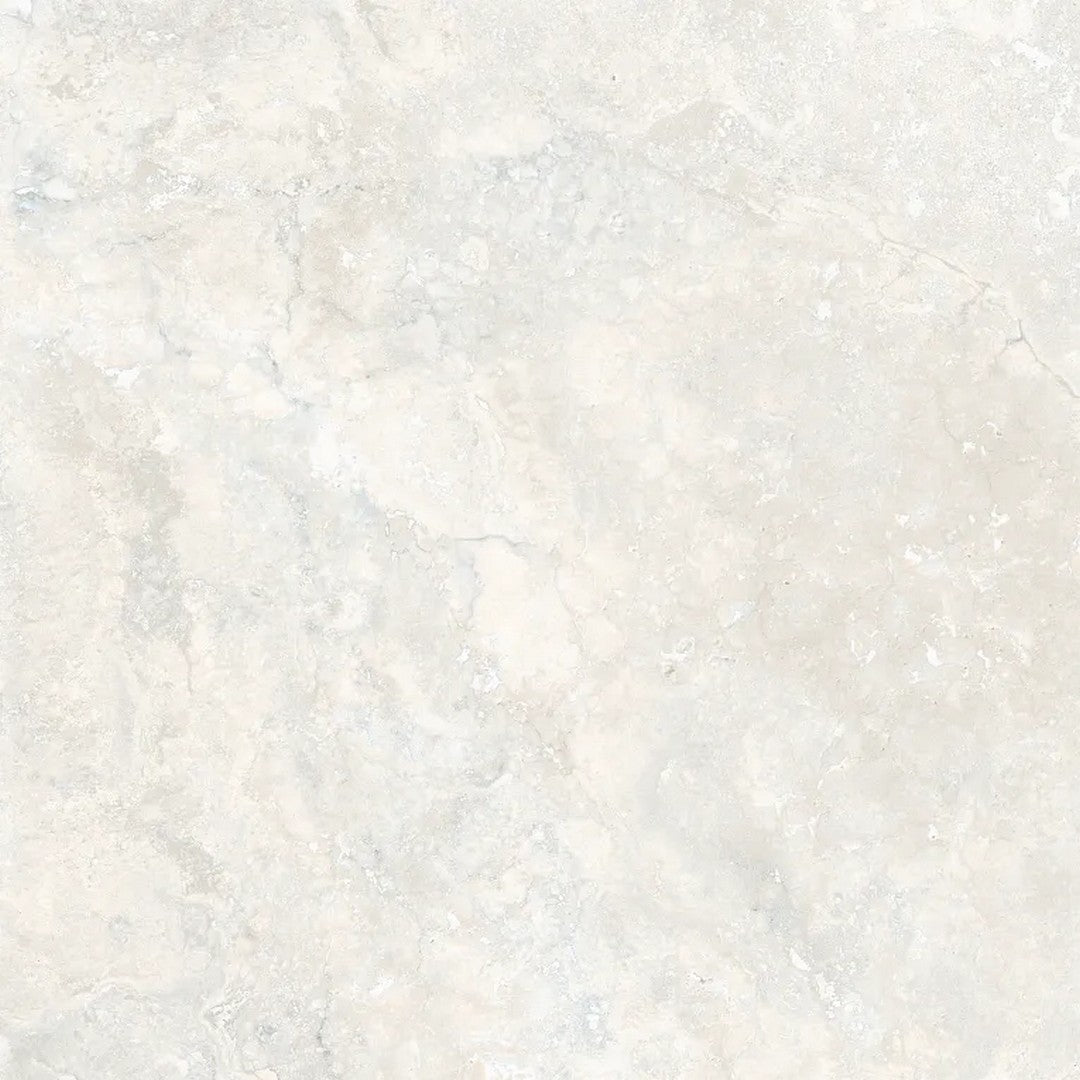 Arizona 24" x 24" Invictus Cross Cut Polished Rectified Porcelain Tile