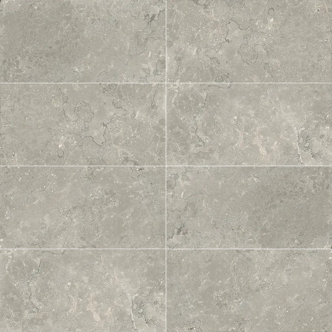 Arizona 12" x 24" Lagos Rectified Porcelain Tile