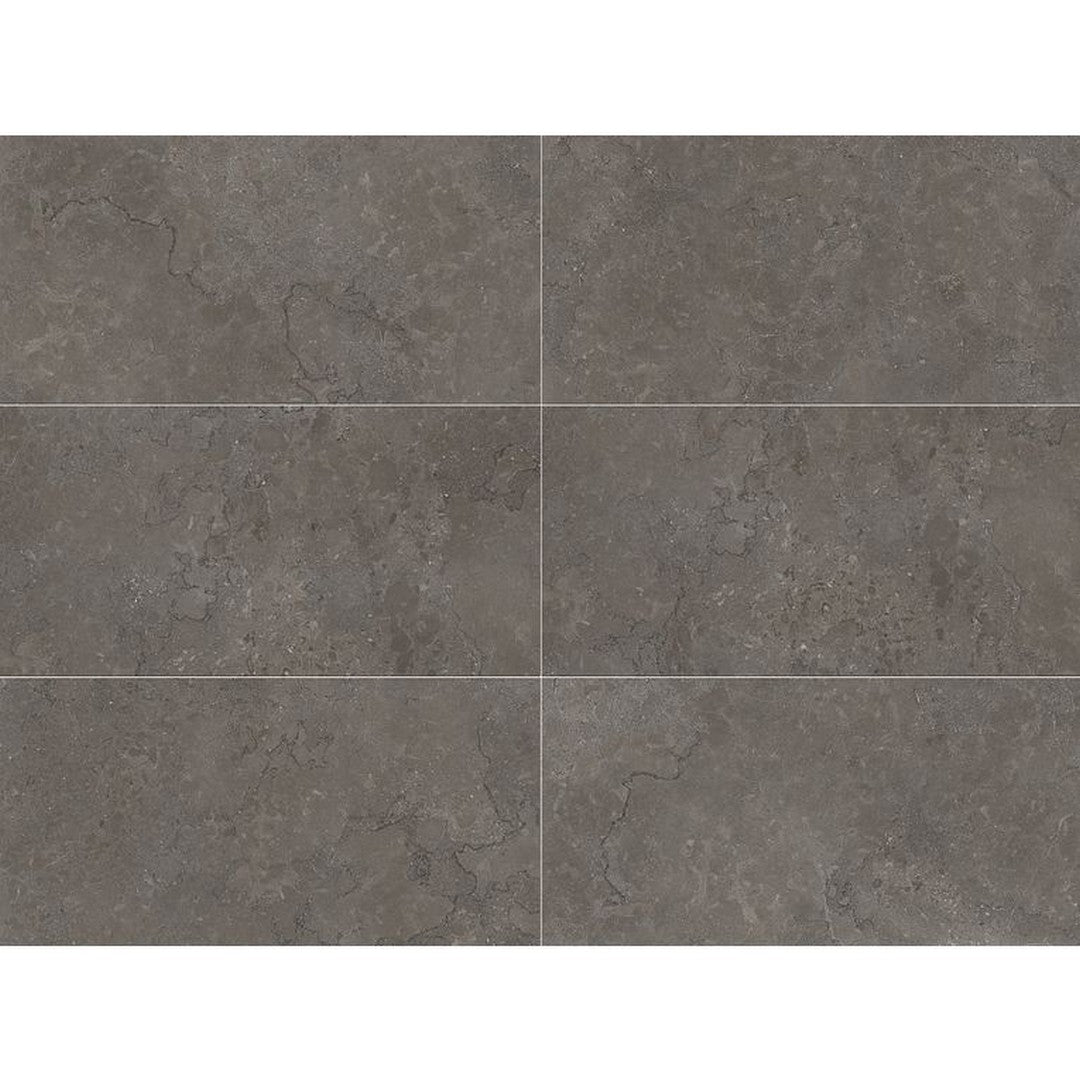 Arizona 24" x 48" Lagos Rectified Porcelain Tile