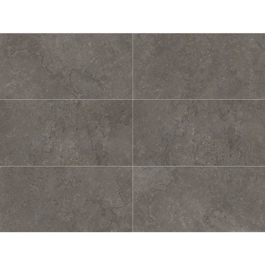 Arizona 24" x 48" Lagos Rectified Porcelain Tile