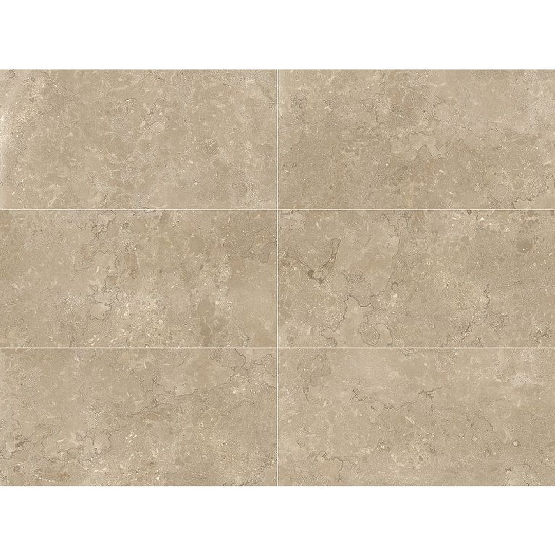 Arizona 24" x 48" Lagos Rectified Porcelain Tile