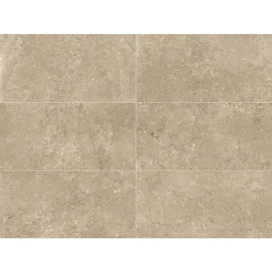 Arizona 24" x 48" Lagos Rectified Porcelain Tile