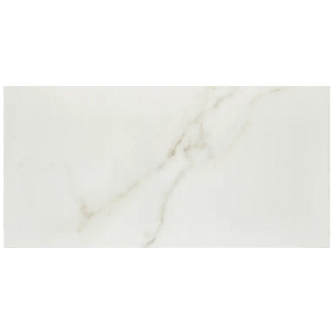 Arizona 12" x 24" Marvel Matte Rectified Porcelain Tile