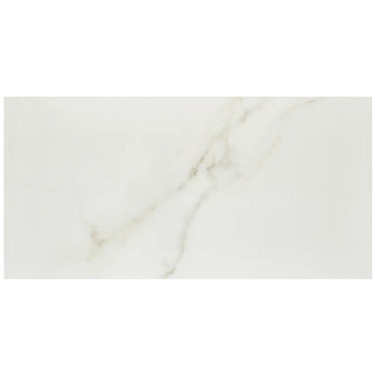 Arizona 12" x 24" Marvel Matte Rectified Porcelain Tile