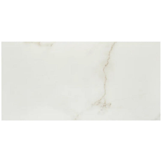 Arizona 12" x 24" Marvel Polished Rectified Porcelain Tile