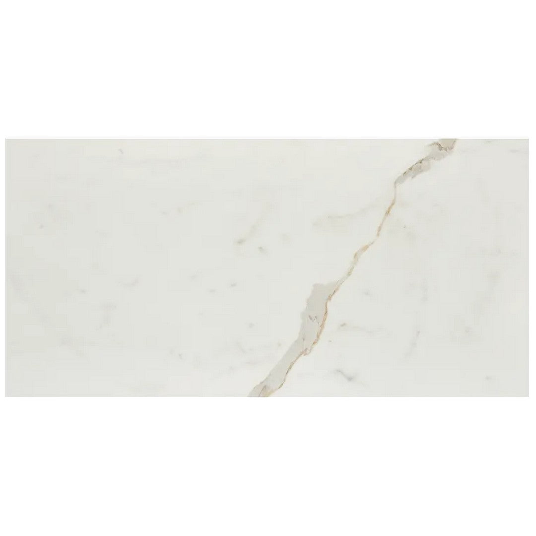 Arizona 12" x 24" Marvel Matte Rectified Porcelain Tile