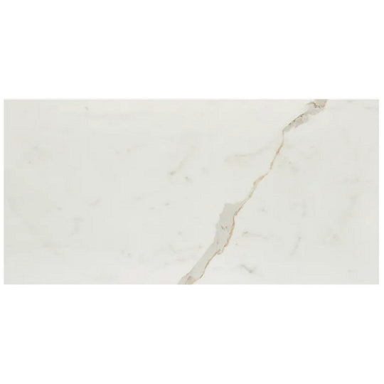 Arizona 12" x 24" Marvel Matte Rectified Porcelain Tile