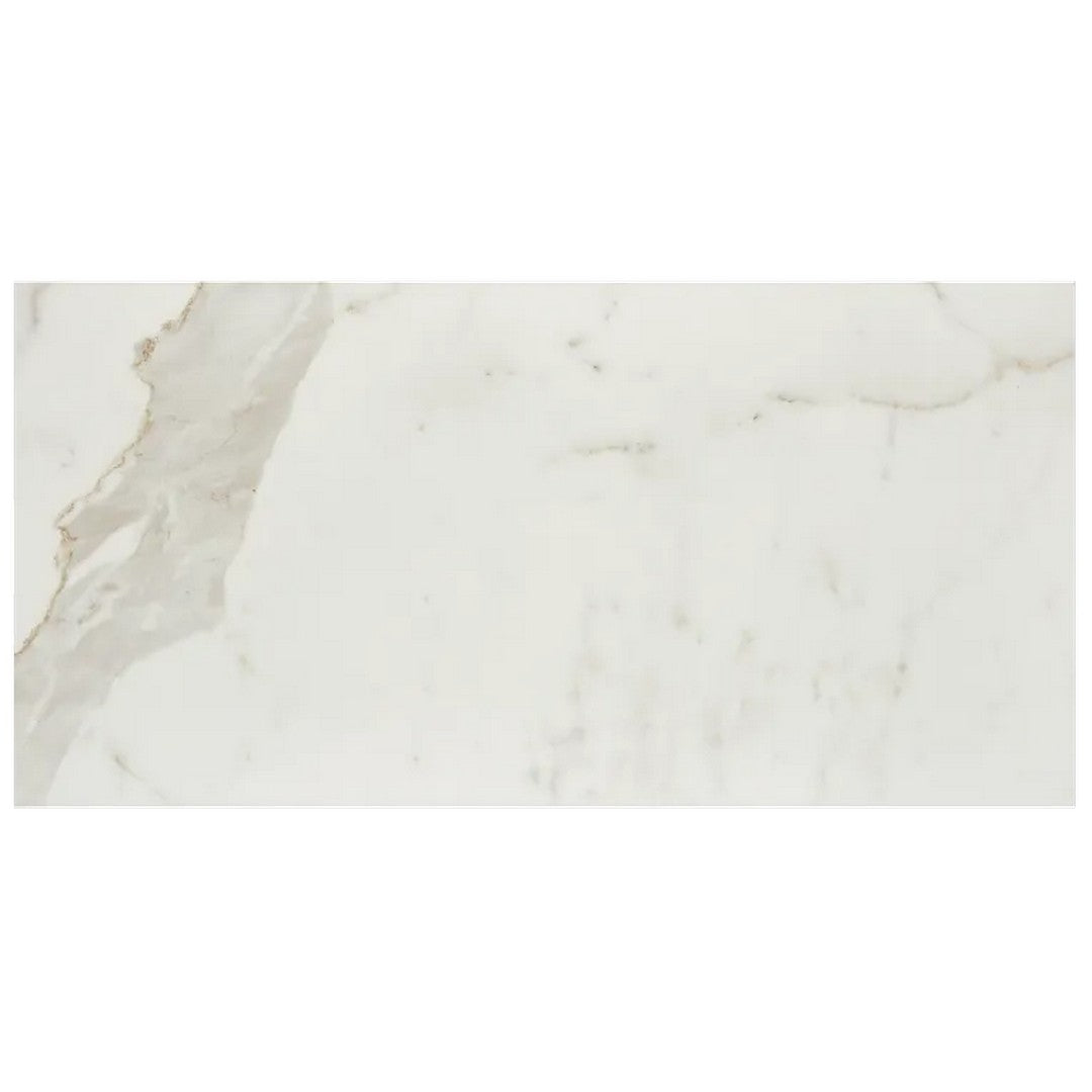 Arizona 12" x 24" Marvel Polished Rectified Porcelain Tile