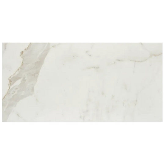 Arizona 12" x 24" Marvel Polished Rectified Porcelain Tile