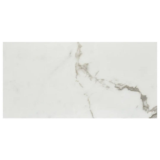 Arizona 12" x 24" Marvel Matte Rectified Porcelain Tile