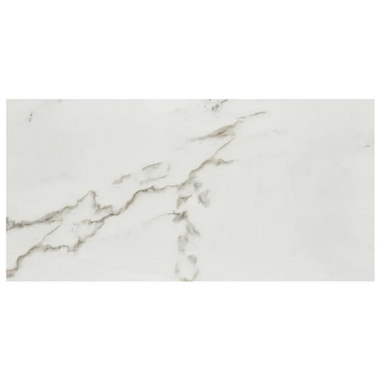 Arizona 12" x 24" Marvel Polished Rectified Porcelain Tile