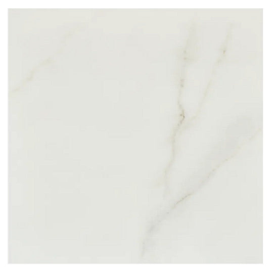 Arizona 24" x 24" Marvel Matte Rectified Porcelain Tile