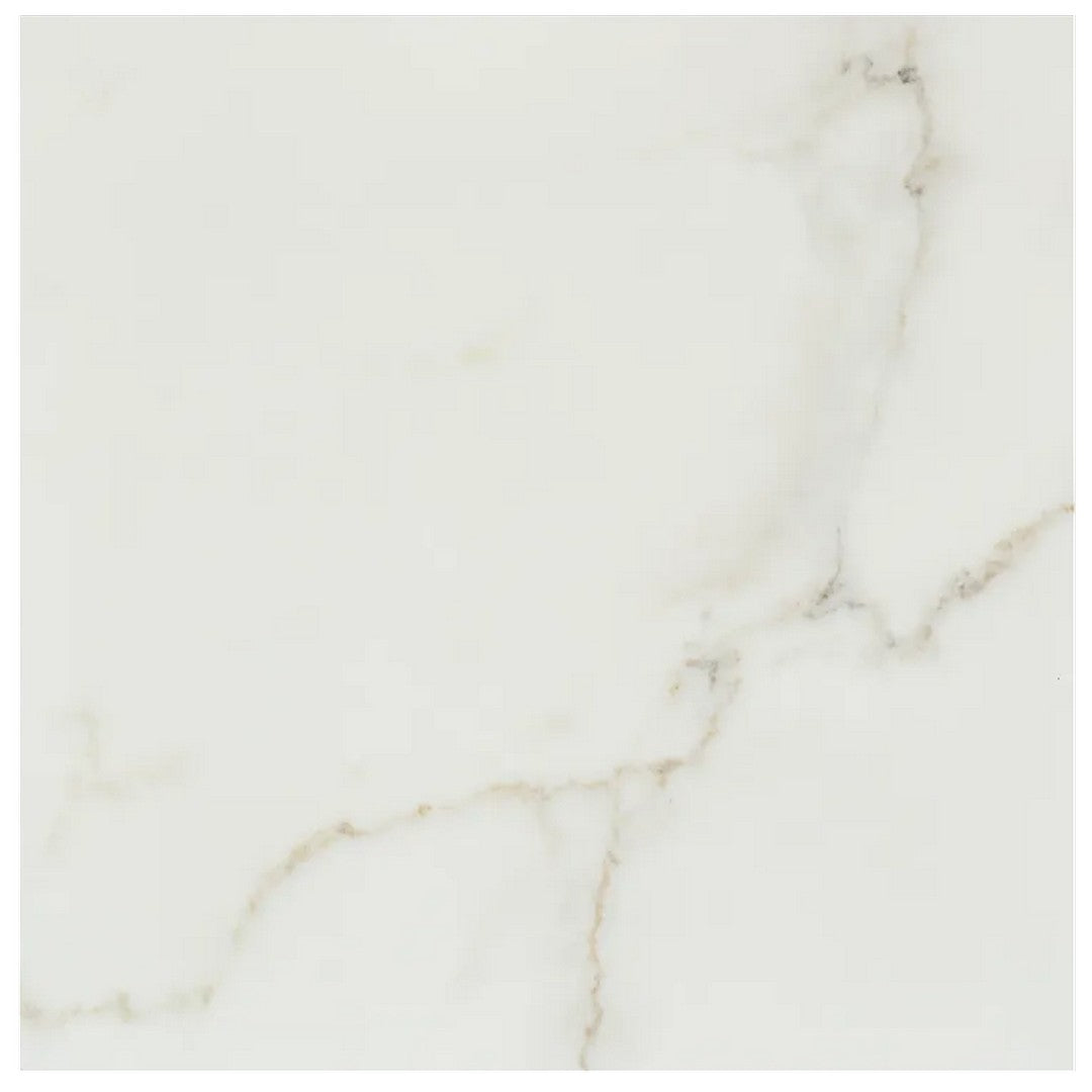 Arizona 24" x 24" Marvel Polished Rectified Porcelain Tile