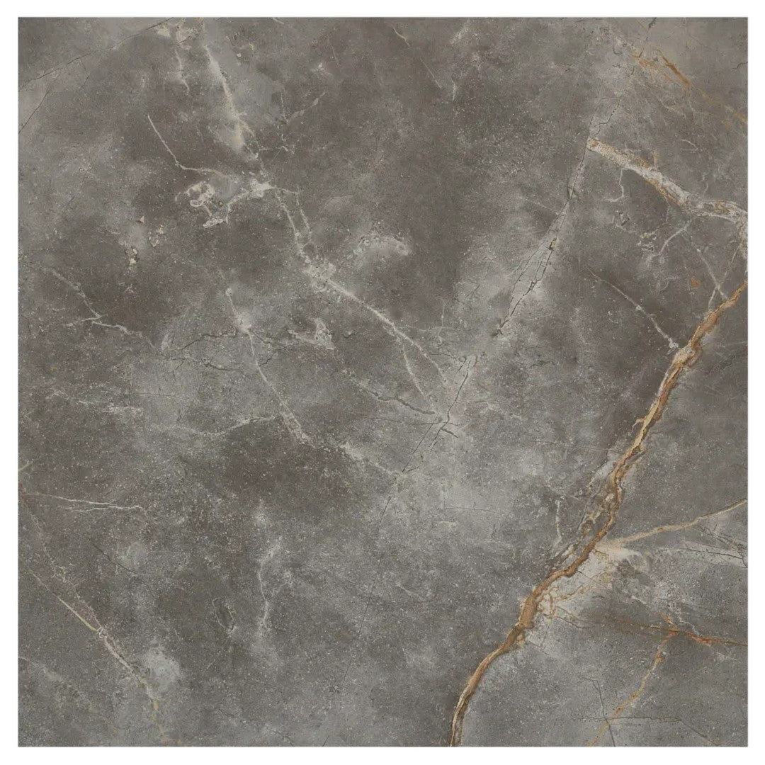 Arizona 24" x 24" Marvel Polished Rectified Porcelain Tile