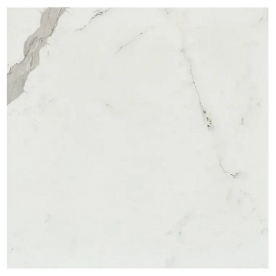 Arizona 24" x 24" Marvel Polished Rectified Porcelain Tile