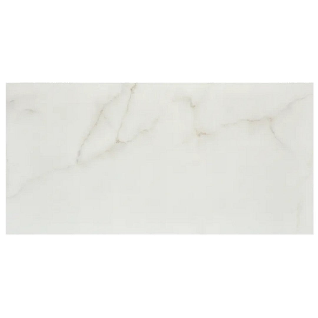 Arizona 24" x 48" Marvel Matte Rectified Porcelain Tile