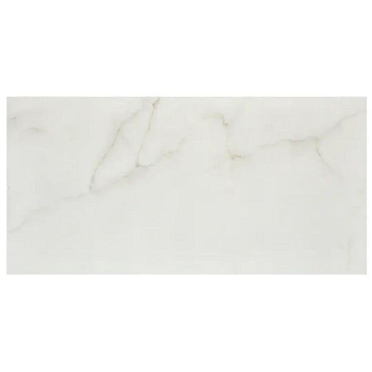 Arizona 24" x 48" Marvel Matte Rectified Porcelain Tile