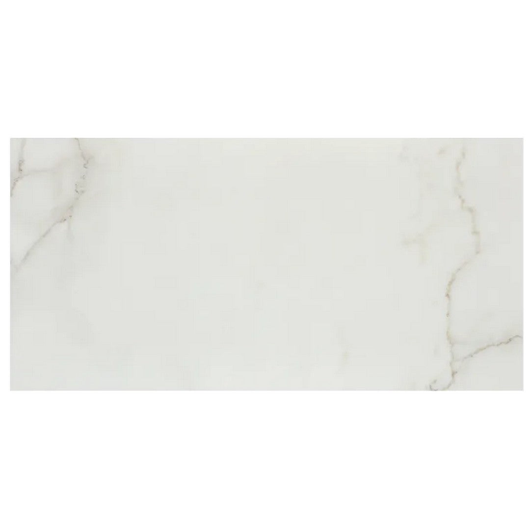 Arizona 24" x 48" Marvel Polished Rectified Porcelain Tile