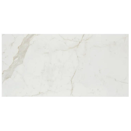 Arizona 24" x 48" Marvel Polished Rectified Porcelain Tile