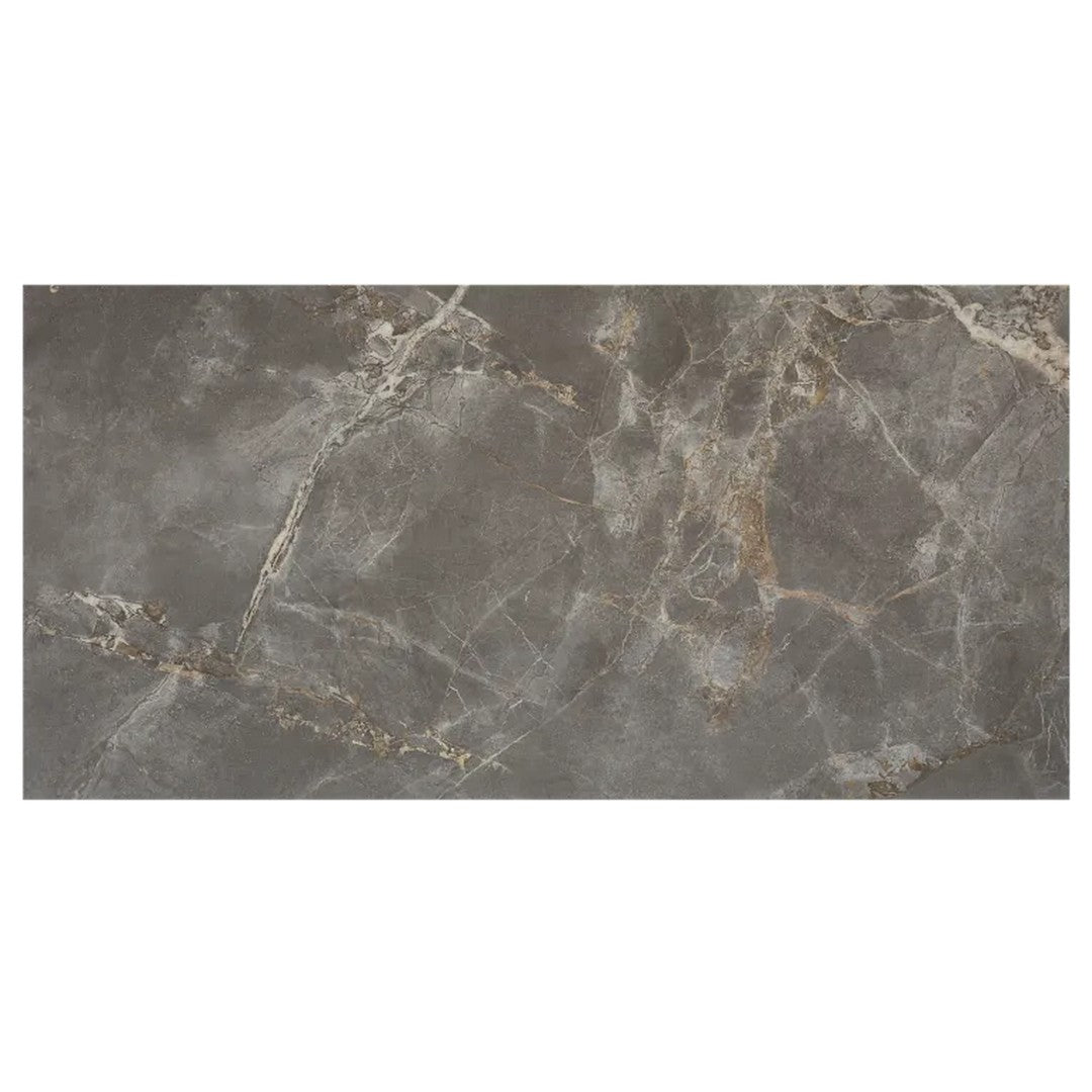 Arizona 24" x 48" Marvel Polished Rectified Porcelain Tile