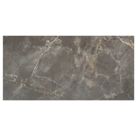 Arizona 24" x 48" Marvel Polished Rectified Porcelain Tile