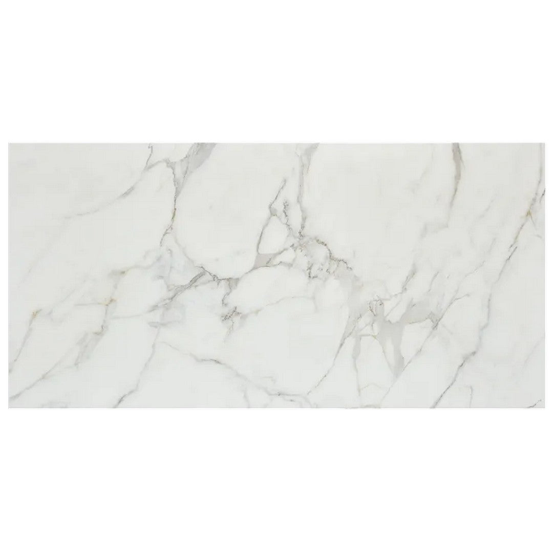 Arizona 24" x 48" Marvel Matte Rectified Porcelain Tile