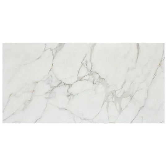 Arizona 24" x 48" Marvel Matte Rectified Porcelain Tile