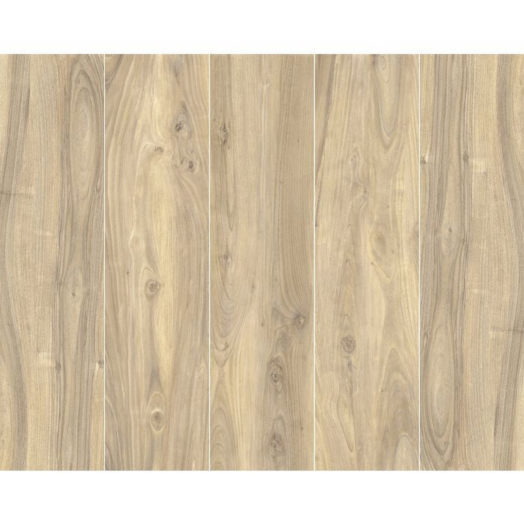 Arizona 8" x 32" More Wood Rectified Porcelain Tile (Wood Look)