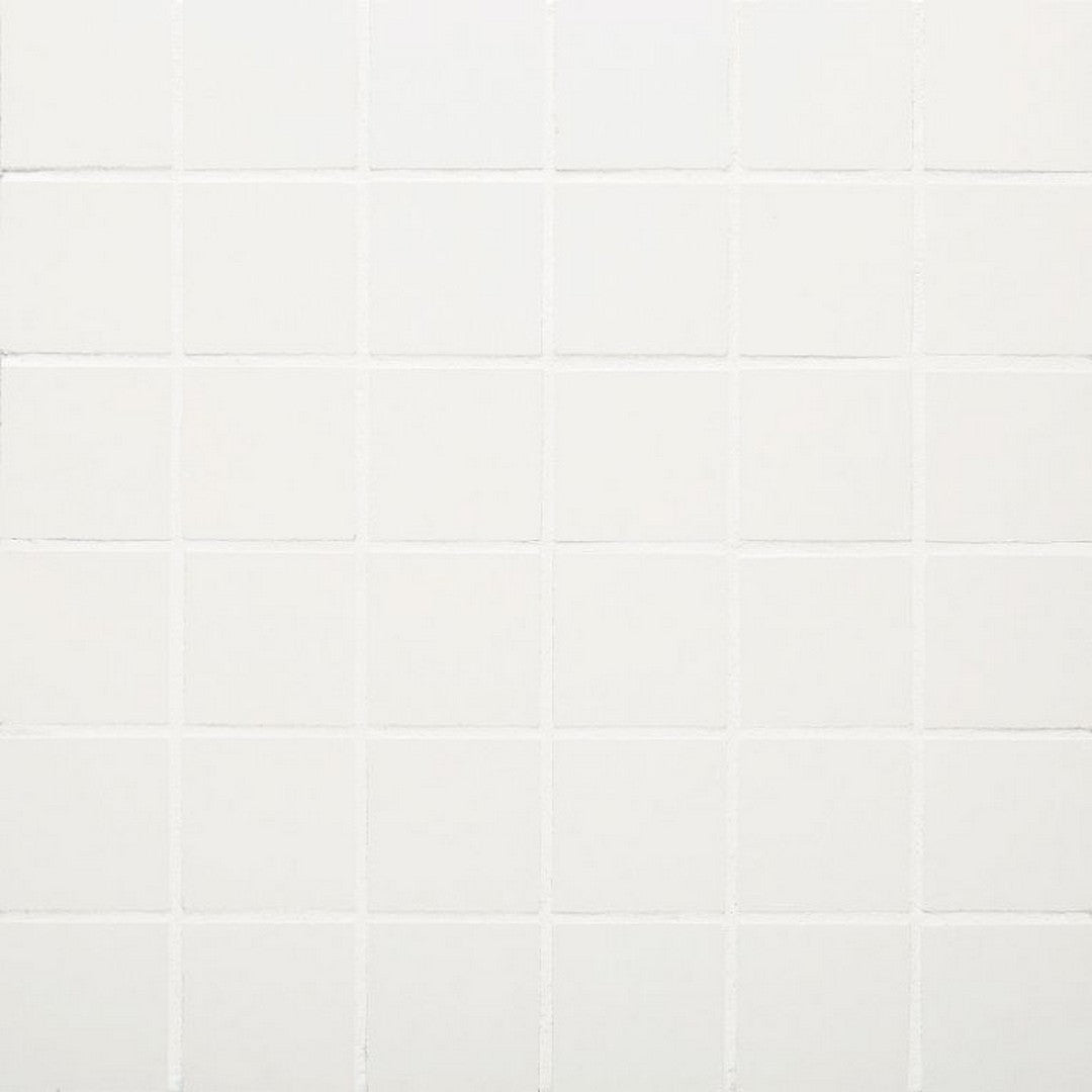 Arizona 12" x 12" Paros Rectified Porcelain 2" Mosaic