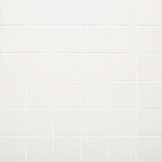 Arizona 12" x 12" Paros Rectified Porcelain 2" Mosaic