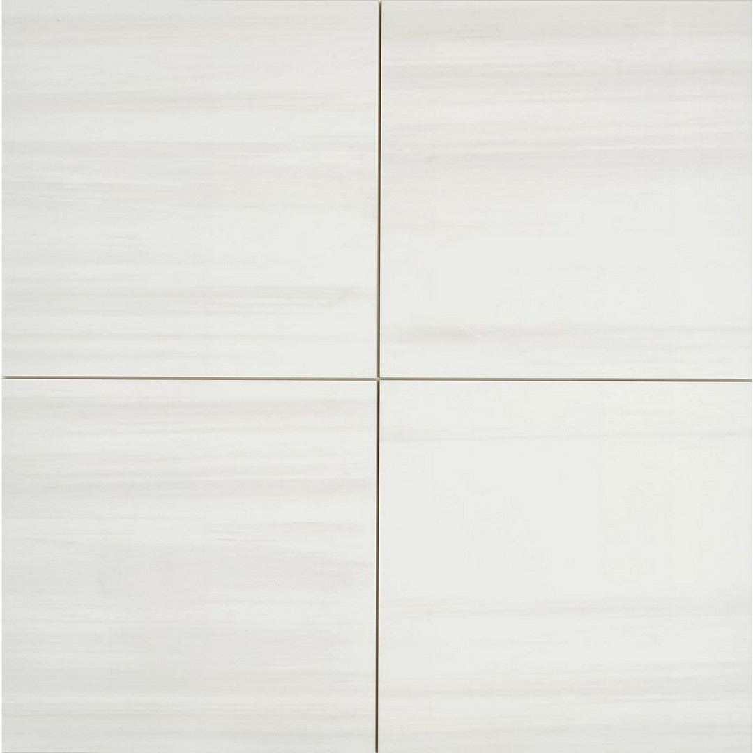 Arizona 24" x 24" Themar Polished Rectified Glazed Porcelain Tile