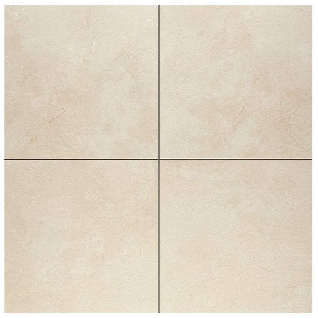 Arizona 24" x 24" Themar Matte Rectified Glazed Porcelain Tile