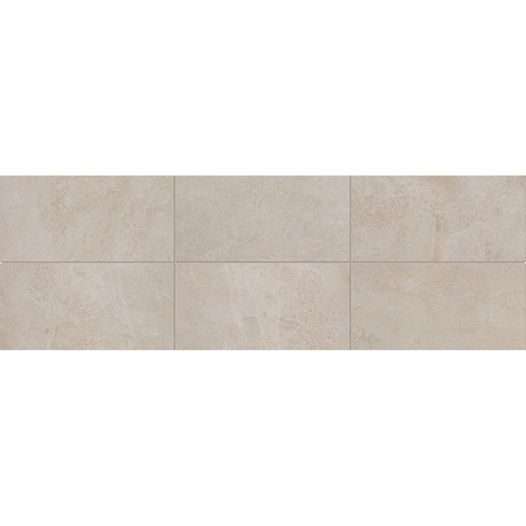 Daltile Advantage 12" x 24" Matte