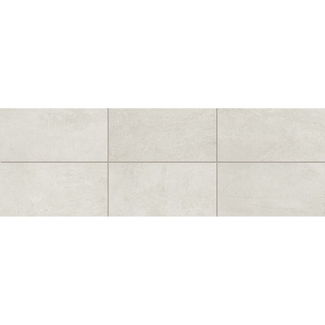 Daltile Advantage 12" x 24" Matte