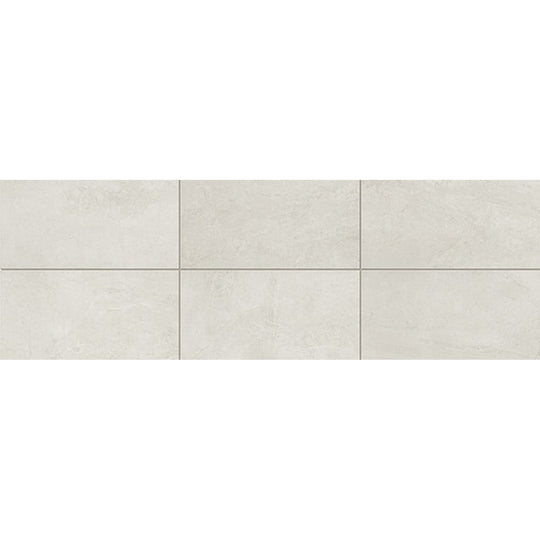 Daltile Advantage 12" x 24" Matte