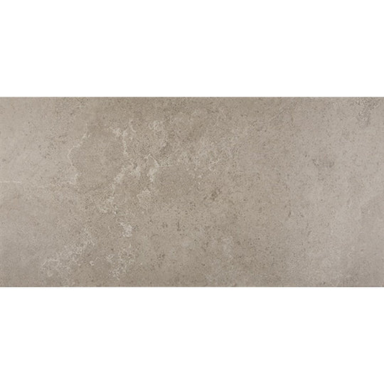 Daltile Advantage 12" x 24" Matte