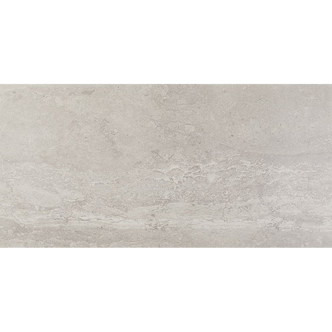 Daltile Advantage 12" x 24" Matte