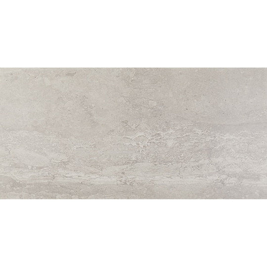 Daltile Advantage 12" x 24" Matte