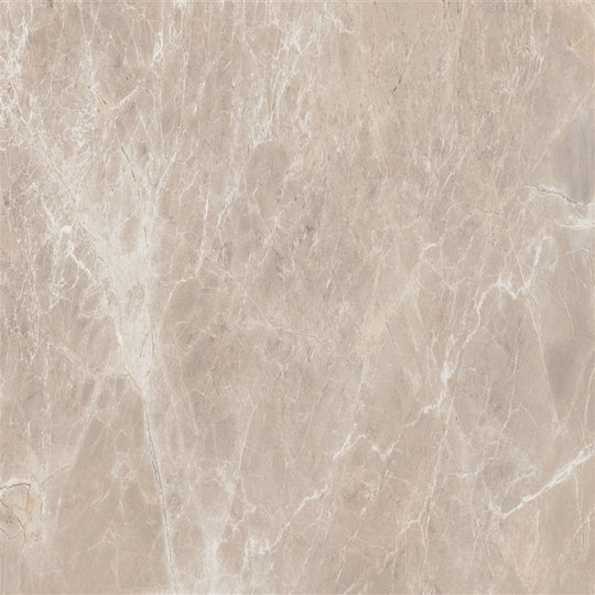 Floors 2000 Alpha 12" x 24" Rectified Matte Porcelain Tile