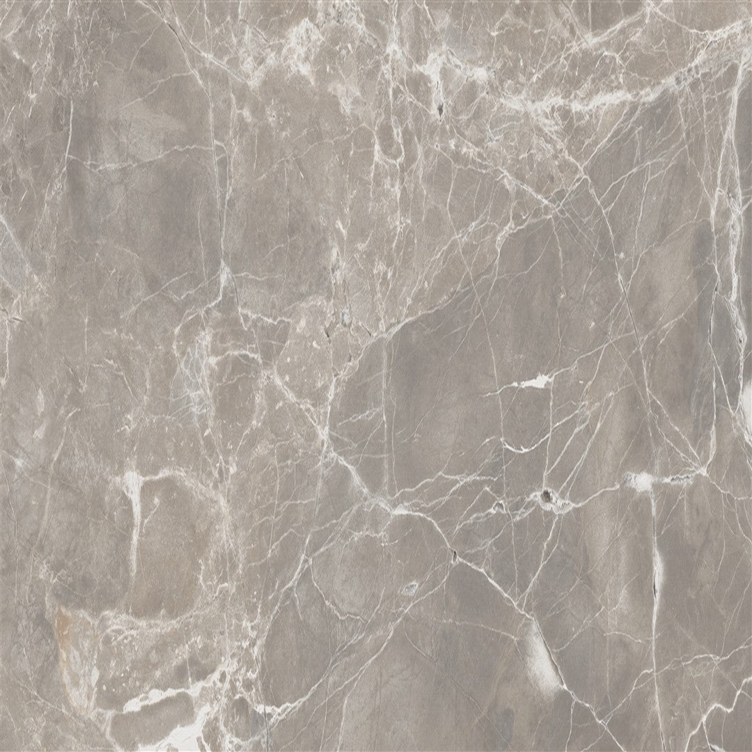 Floors 2000 Alpha 12" x 24" Rectified Polished Porcelain Tile