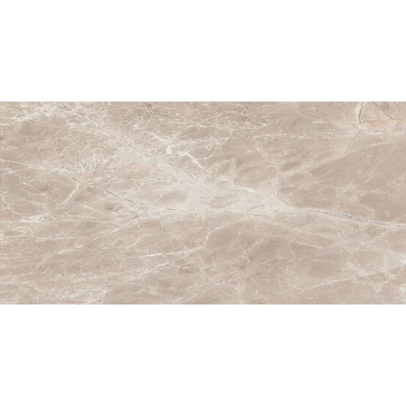 Floors 2000 12" x 24" Alpha Rectified Polished Porcelain Tile