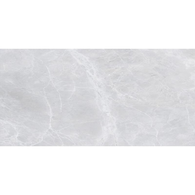 Floors 2000 12" x 24" Alpha Rectified Polished Porcelain Tile