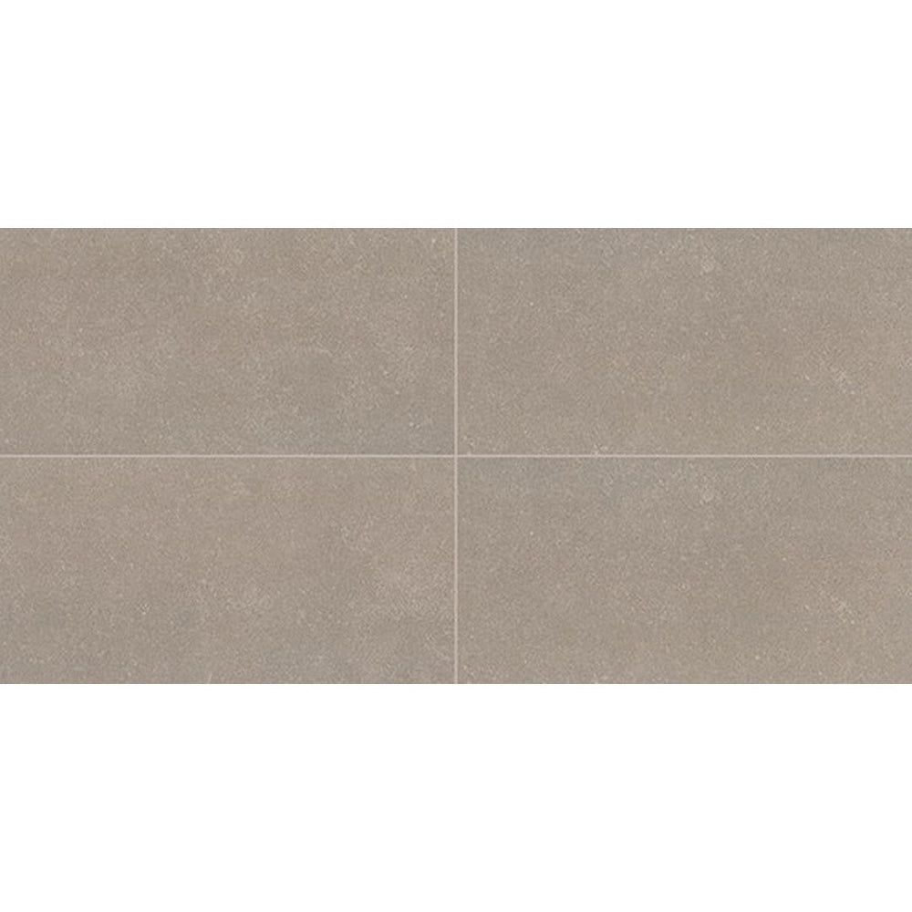 Daltile-Astronomy-12-x-24-Matte-Porcelain-Floor-Tile-Solstice